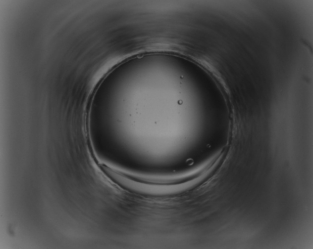 X0000101411342200807141122
