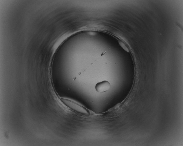 X0000101411344200807141122