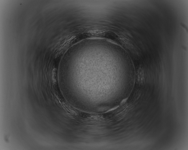 X0000101411346200807141122