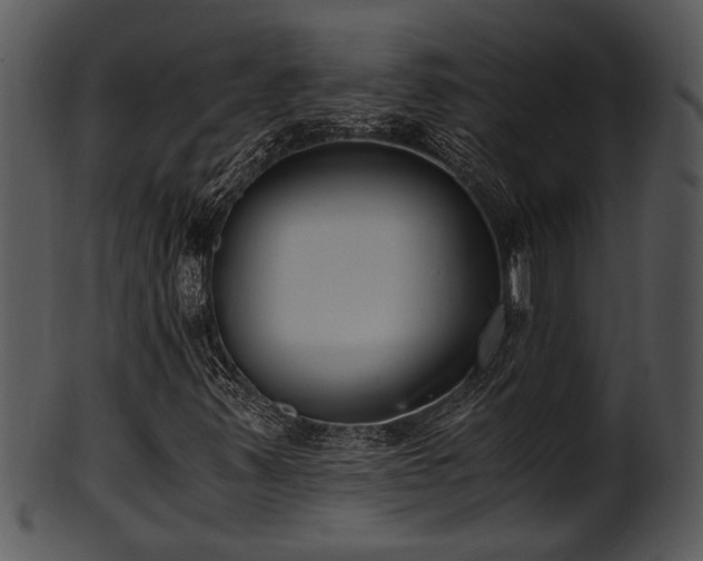 X0000101411347200807141122