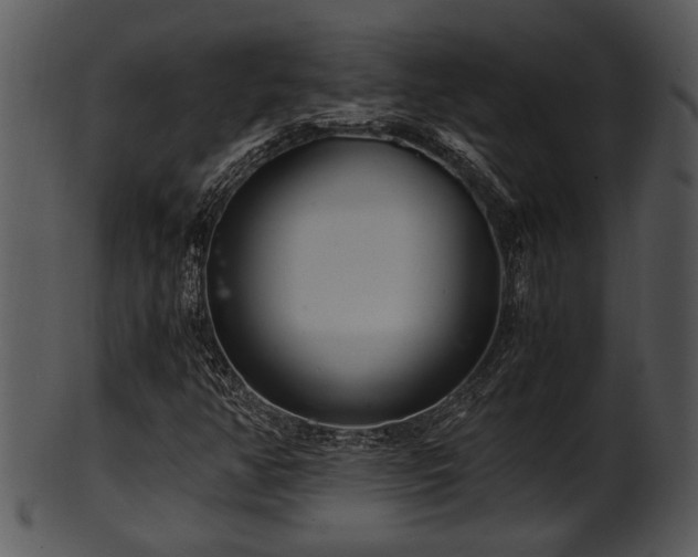 X0000101411350200807141121