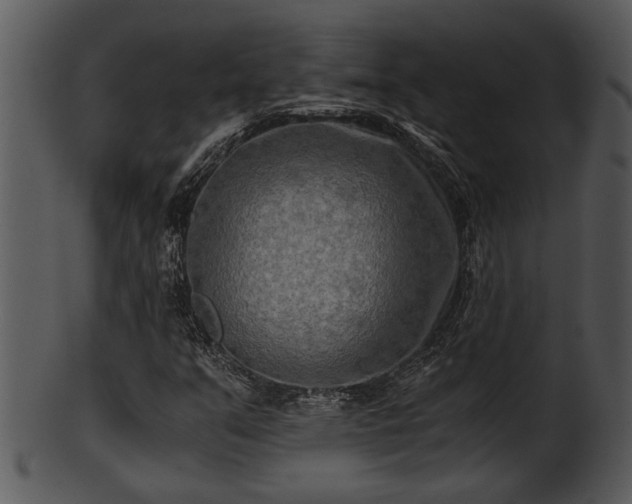 X0000101411351200807141121