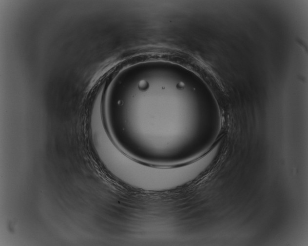 X0000101411352200807141121