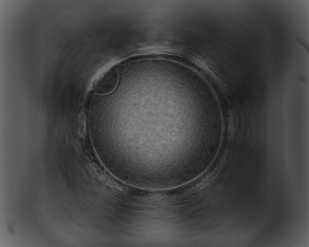 X0000101411358200807141121
