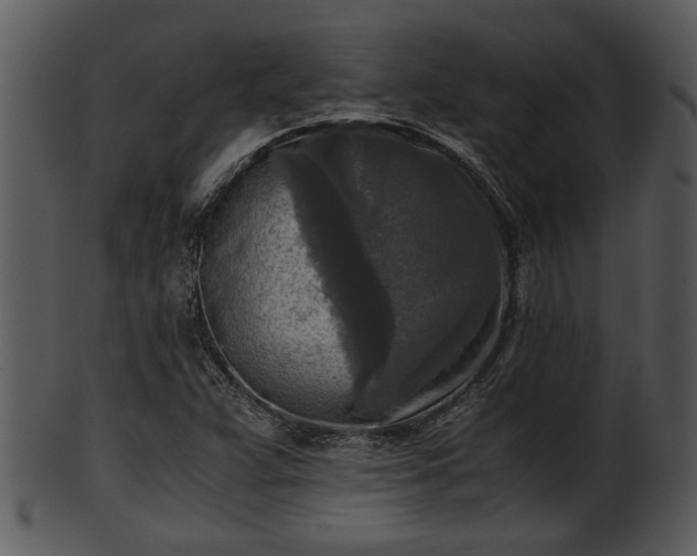 X0000101411359200807141121