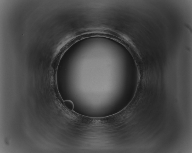 X0000101411360200807141121