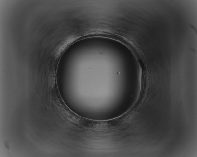 X0000101411363200807141121