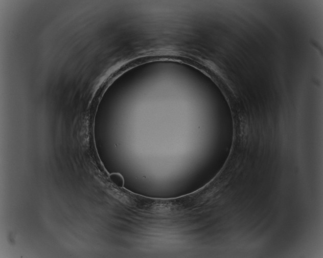 X0000101411364200807141121