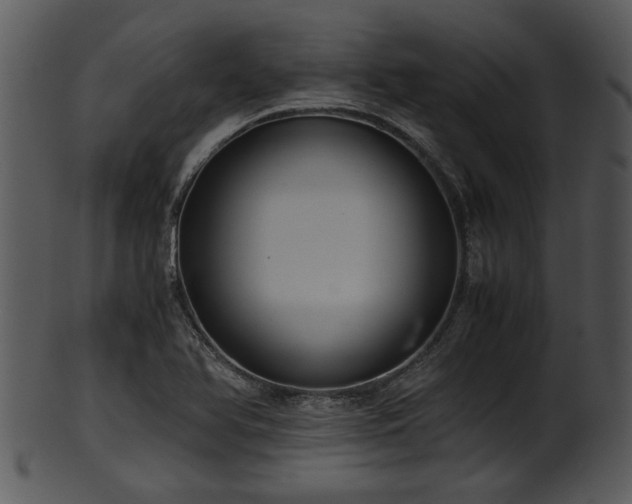 X0000101411366200807141121
