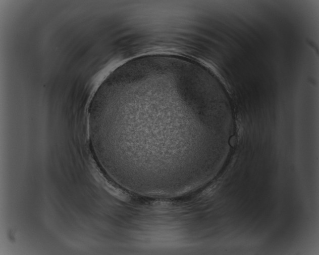 X0000101411371200807141121