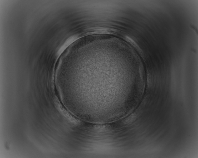 X0000101411378200807141121