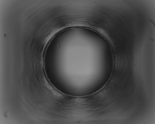 X0000101411380200807141121