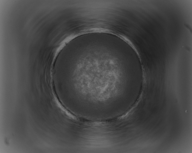 X0000101411381200807141121
