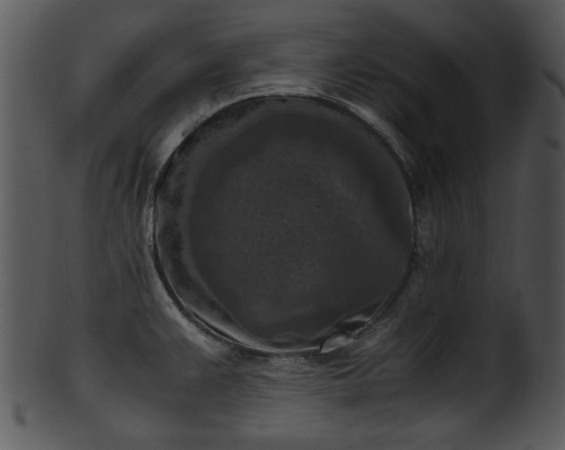 X0000101411383200807141121