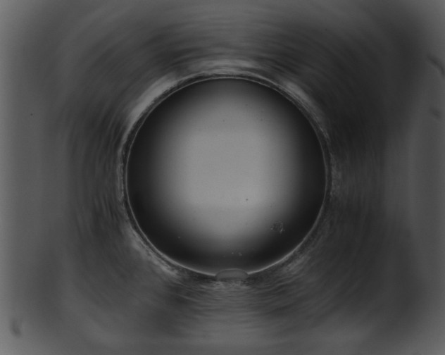 X0000101411384200807141121