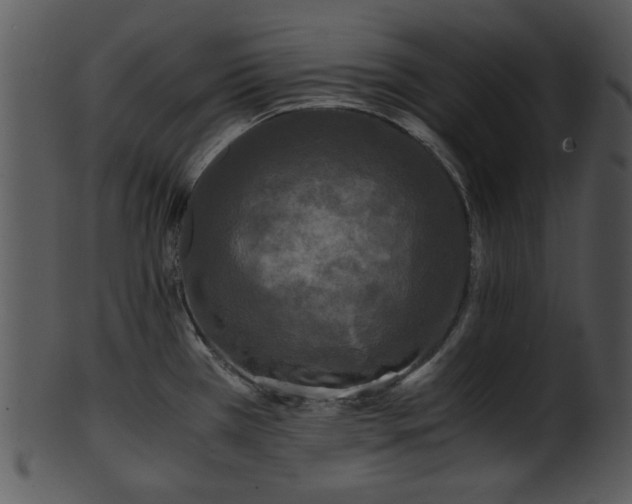 X0000101411385200807141121