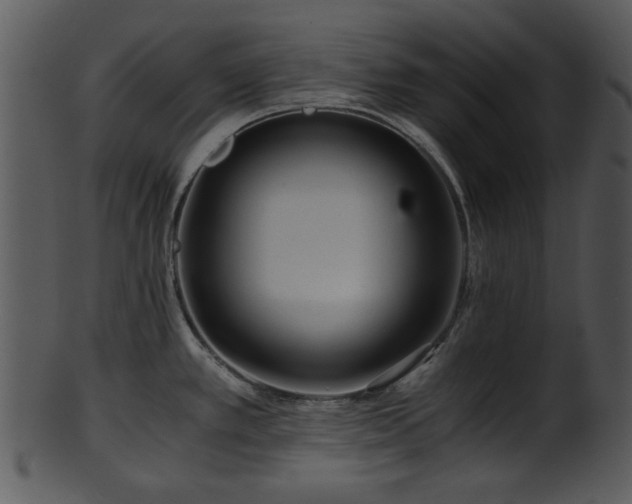 X0000101411389200807141121