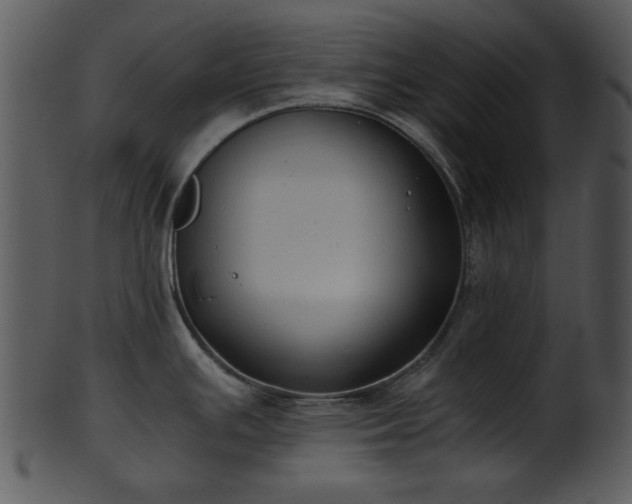 X0000101411391200807141121