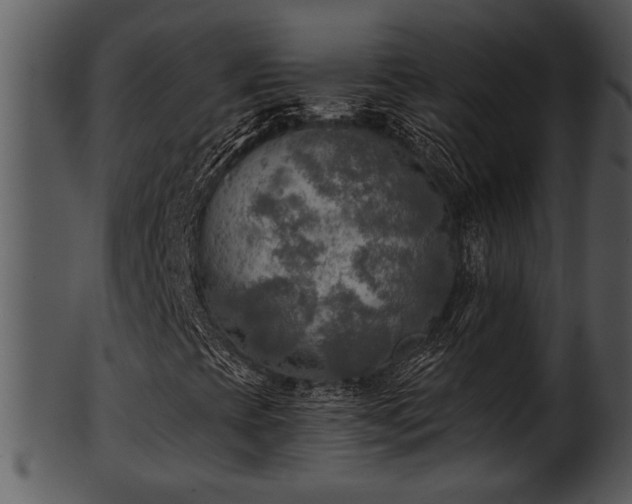 X0000101411393200807141120