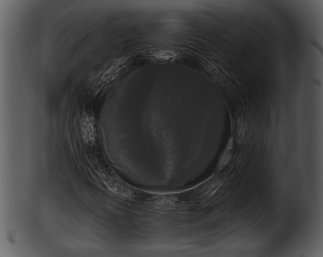 X0000101411394200807141120