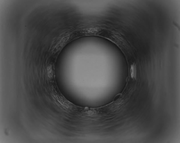 X0000101411395200807141120