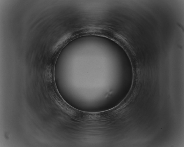 X0000101411403200807141120