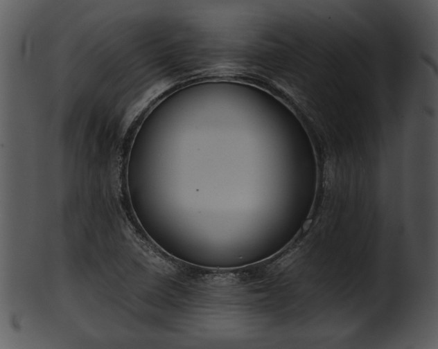 X0000101411410200807141120
