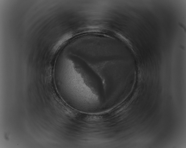 X0000101411411200807141120