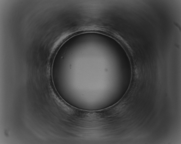 X0000101411416200807141120