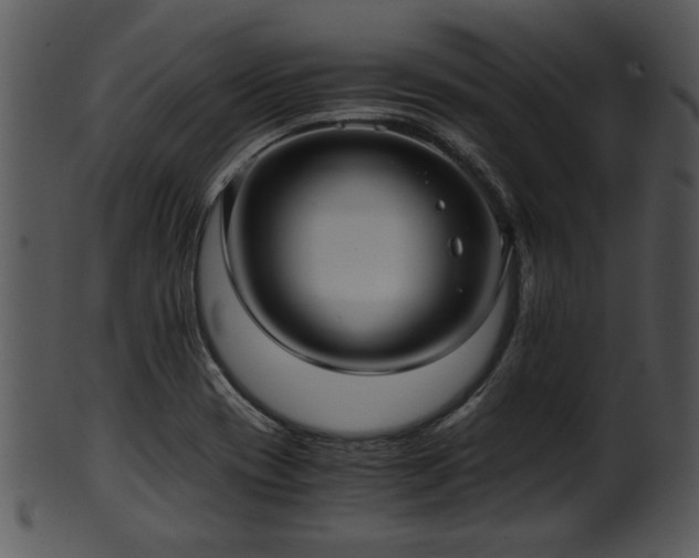 X0000101411417200807141120