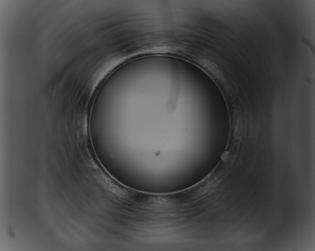 X0000101411420200807141120