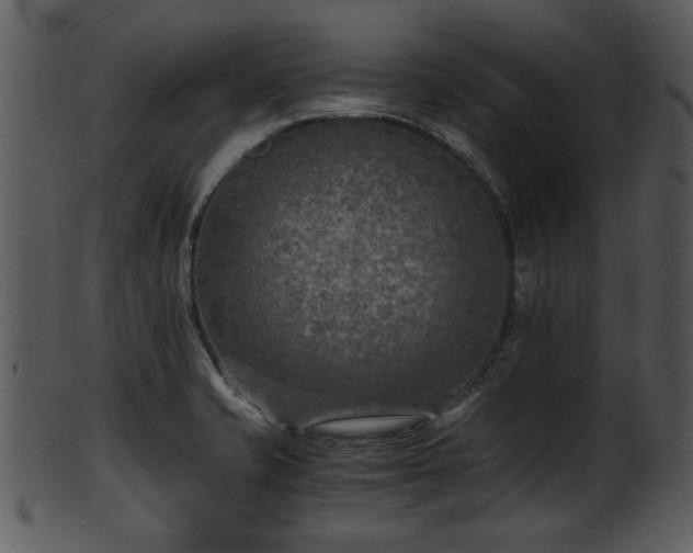 X0000101411421200807141120
