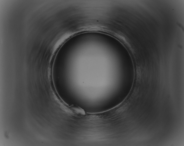 X0000101411424200807141120