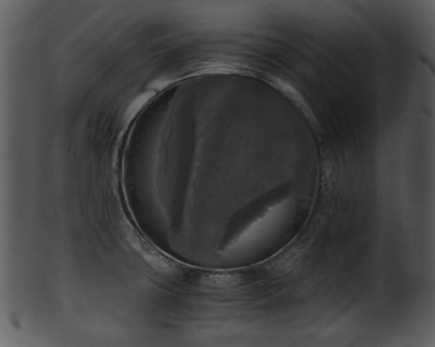 X0000101411427200807141121