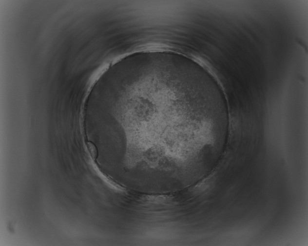 X0000101411429200807141121