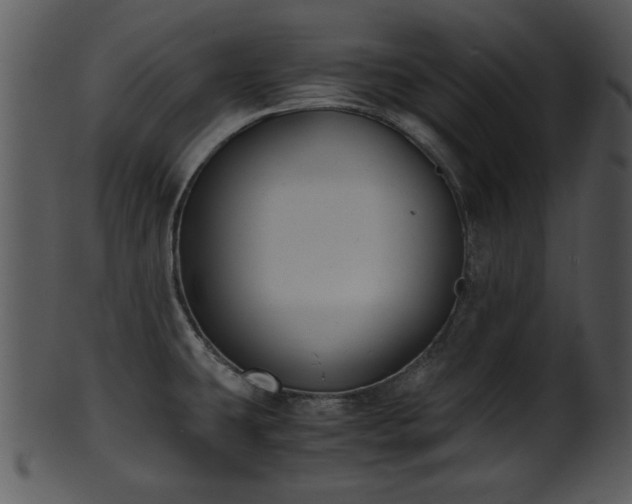 X0000101411431200807141121