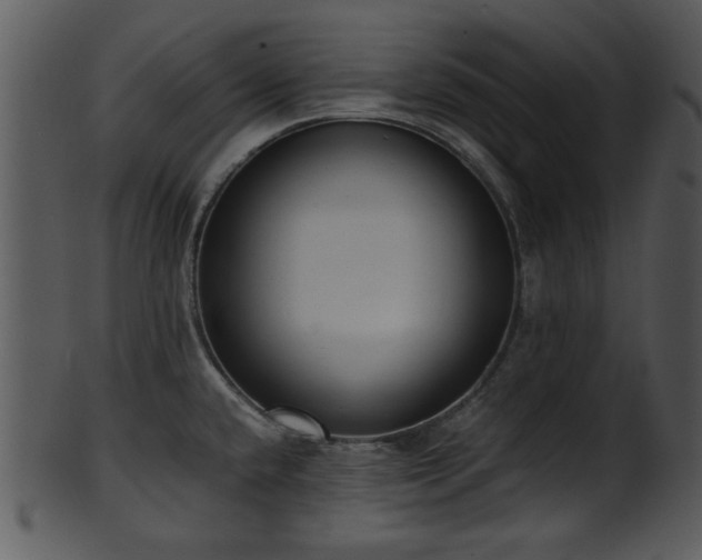 X0000101411432200807141121