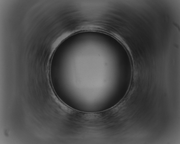 X0000101411437200807141121
