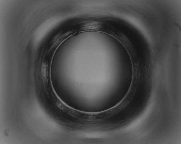 X0000101411438200807141121