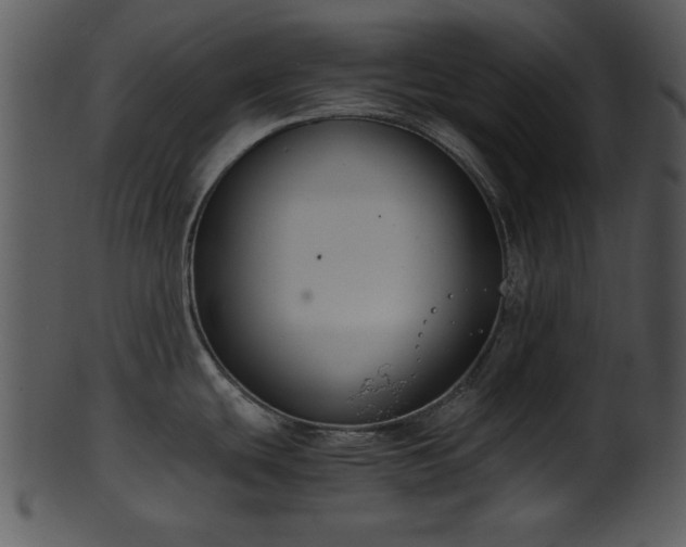 X0000101411439200807141121