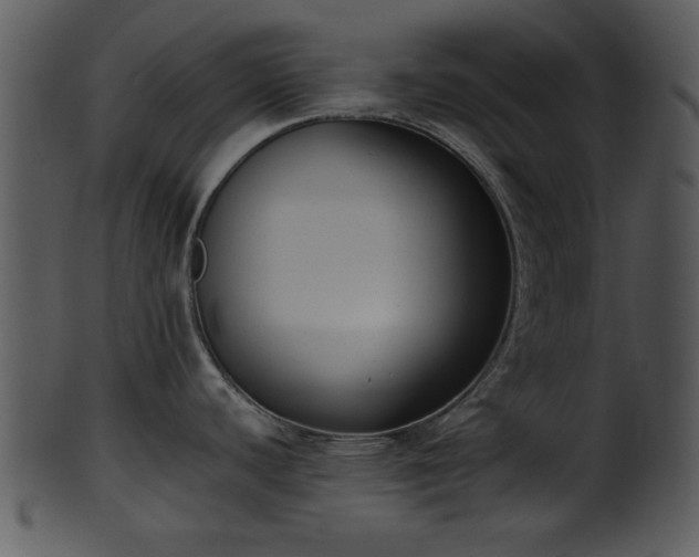 X0000101411440200807141121