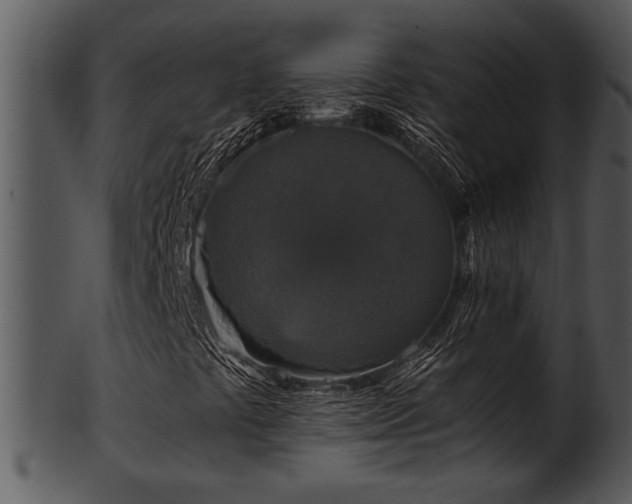 X0000101411441200807141120