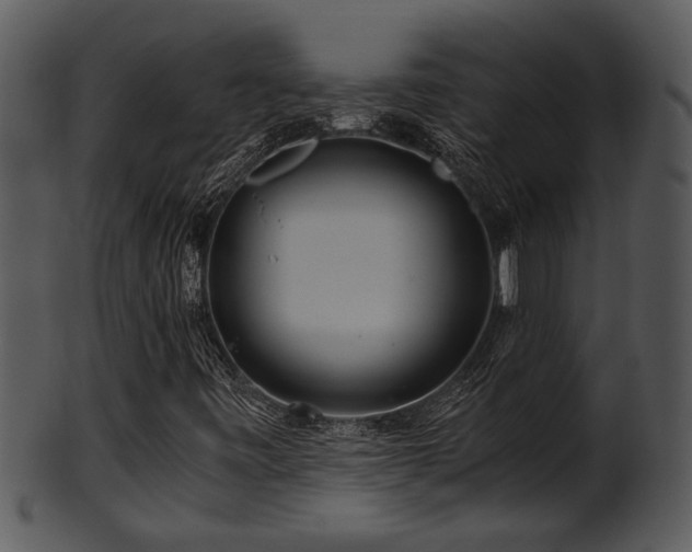 X0000101411443200807141120