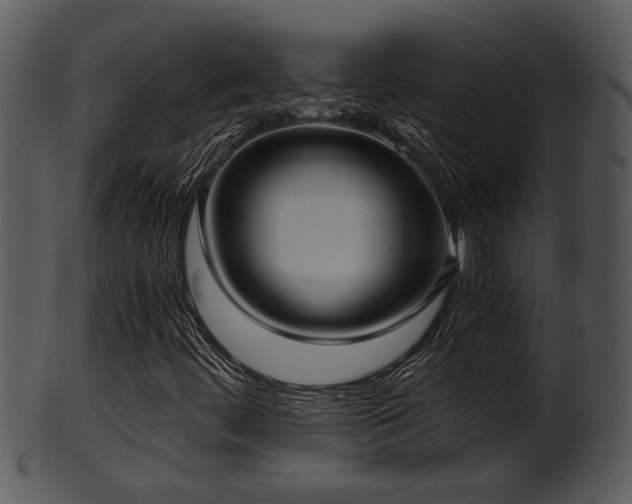 X0000101411444200807141120