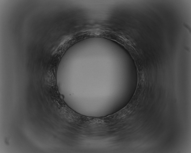 X0000101411446200807141120