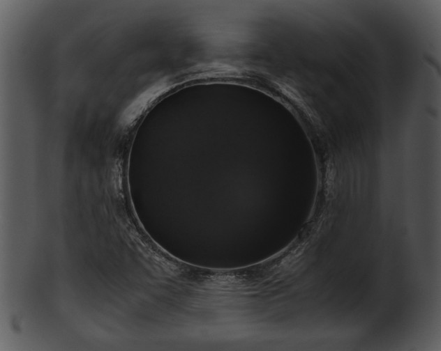 X0000101411455200807141120