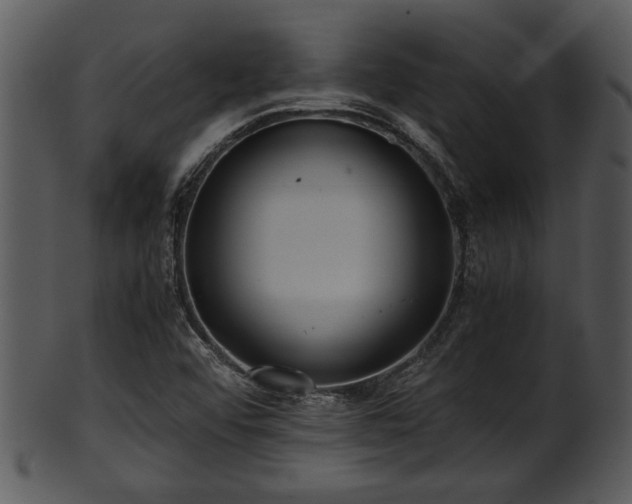 X0000101411456200807141120
