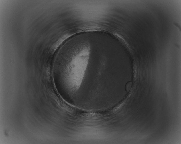 X0000101411457200807141120