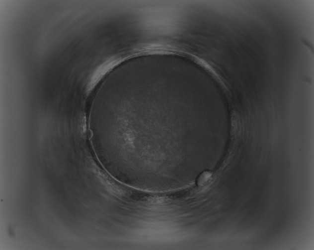 X0000101411461200807141120
