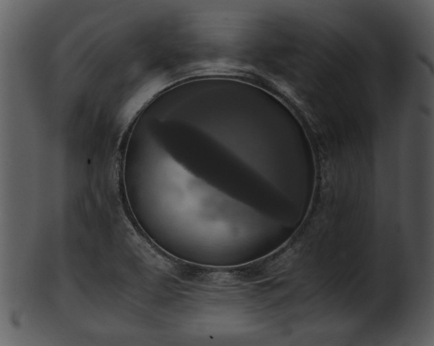 X0000101411463200807141120